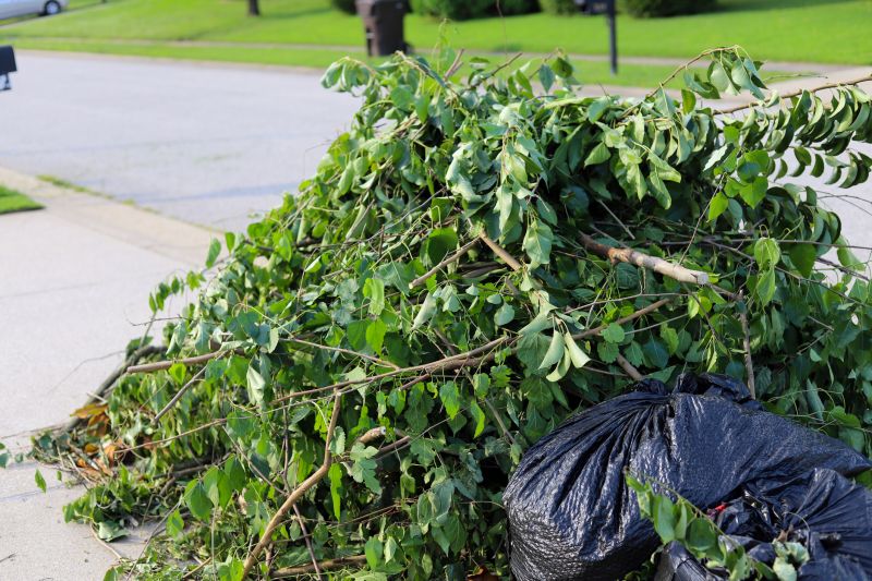 Tree and Shrub Removal