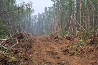 Commercial Property Clearing in Cumming, GA