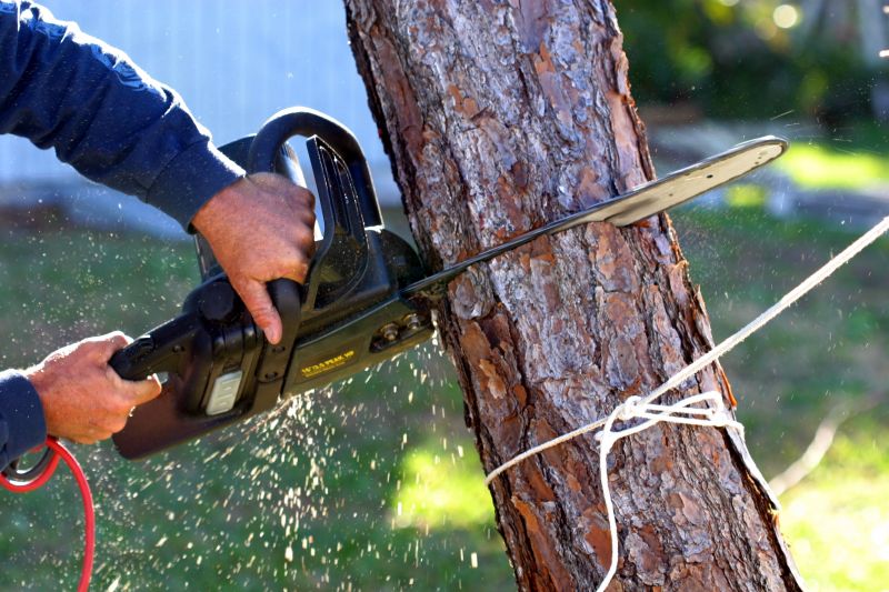 Tree Cutting Techniques