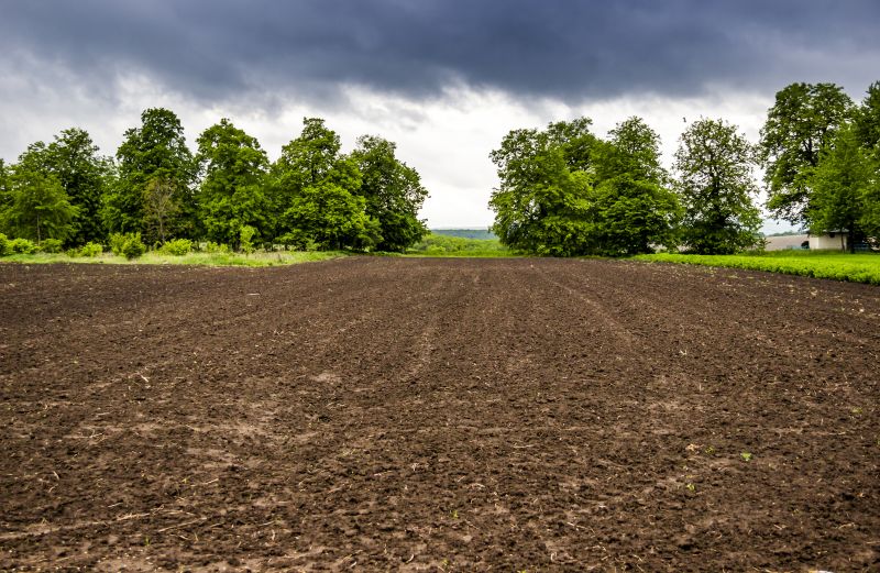 Easement Land Clearing in Gwinnett County, GA