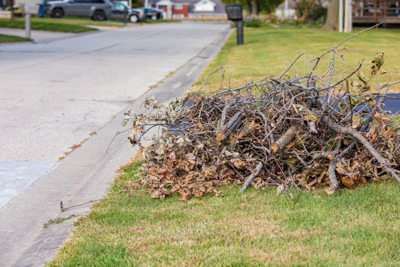 Tree Debris Cleanup