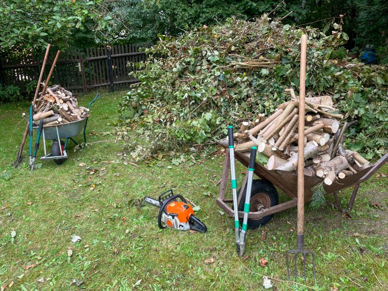 Tree And Shrub Removal
