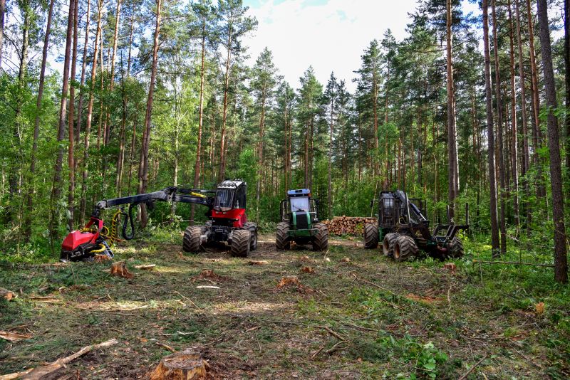 Trees Clearing in Marietta, GA
